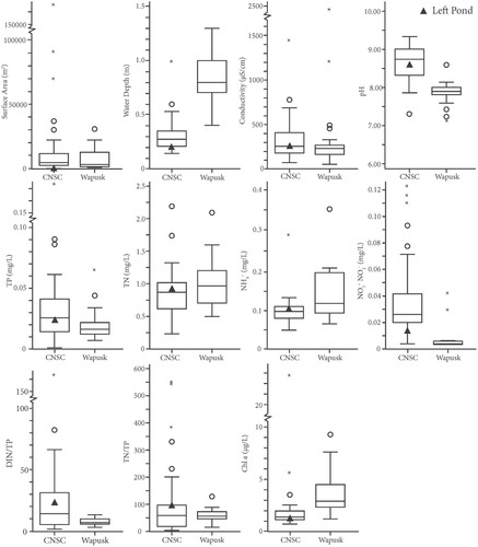 FIGURE 2. Box plots showing physical and limnological characteristics of ponds located in the Churchill region (near the Churchill Northern Studies Centre [labeled CNSC]) and in Wapusk National Park [labeled Wapusk]). The boxes show the 25th, 50th (median), and 75th percentiles, and the whiskers represent the 10th and 90th percentiles. The study pond (Left Pond) is shown as a solid triangle with the CNSC data. Data for box plots were pooled from Bos and Pellatt (Citation2012) (24 ponds sampled in July 2004; 21 classified as Wapusk, 3 classified as CNSC), Rautio et al., (2012) (averages of 3 dates in July 2005 for 3 ponds; classified as CNSC), Symons et al. (Citation2012) (12 ponds sampled in July 2009; classified as Wapusk), Macrae et al. (Citation2004) (20 ponds measured in July of 1995 and 1997; classified as CNSC), White et al. (Citation2014) (22 ponds, sampled once in July 2010; classified as CNSC), and Macrae and Fishback (unpublished data) (averages of 4 sampling dates in July 2011; classified as CNSC). Data for Left Pond are a mean of data in July of 2010 collected by White et al. (Citation2014) and 2012 by Macrae and Fishback (unpublished data).
