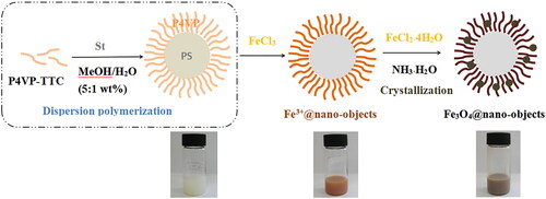 Scheme 1. Schematic illustration for the preparation of Fe3O4@nanoparticles.