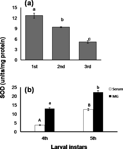 Figure 3. Changes in superoxide dismutase activity (units/mg protein) in (a), whole-body homogenate of early larval stages and (b), serum and midgut of 4th and 5th instar. Data are expressed as mean ± SEM (n = 6). Means having superscripts of different letters [lower case (a–c): early larva and midgut; upper case (A–B): serum] represent a significant difference from each other within identical tissue (p < 0.05).
