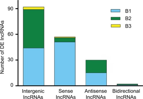 Figure 4 Distribution of four lncRNA classes. The distribution of intergenic, sense, antisense, and bidirectional lncRNAs is identified. Blue, green, and yellow colors indicate the number of DE lncRNAs with expression pattern B1, B2, or B3 in each class. Pattern B represented genes that were modulated by both SNI and repeated minocycline administration. B1 - genes upregulated by SNI and then downregulated by minocycline, B2 - genes downregulated by SNI and then upregulated by minocycline, and B3 - genes upregulated by SNI and further upregulated by minocycline.
