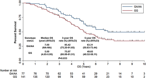 Figure 5 Overall survival of the 218 patients with colorectal cancer according to TYMP rs11479 genotype status (log-rank P value in the KM plot).