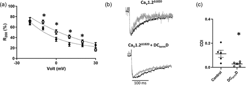 Figure 2. DCtermD modifies VDI and CDI of CaV1.2Δ1820: (a) Graph showing the residual of current after 200 ms during a 250-ms depolarization pulse (R200, mean ± SEM, n = 8 for control and n = 7 for DCtermD) versus command voltage of L-type Ba2+ currents AD293 cells overexpressing the CaV1.2Δ1820 channel with (empty circles) or without (filled circles) the DCtermD. Slower inactivation rates result in higher R200 values. (b) Representative trace of the IBa (black line) and ICa evoked by a 0 mV depolarizing pulse. Both currents were scaled to the same amplitude for comparison. (c) Graph shows the mean ± SEM of CDI fraction (n = 5 for control and n = 6 for DCtermD). *p < 0.05 with respect to control.