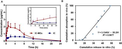 Figure 9. (A) Concentration–time curve of IC-MEs and IC in rat plasma after intraperitoneal administration. Data are represented as mean ± SD, n = 6. (B) IVIVC of IC-MEs.
