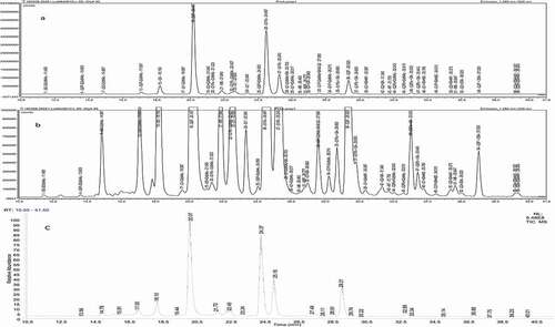 Figure 1. (a) LC-FLD Chromatogram Profile of Labeled Glycans Released from Trastuzumab Using the Method PA-IPC, (b) Zoomed Profile Showing Low Abundance Glycoforms, (c) TIC Profile from MS