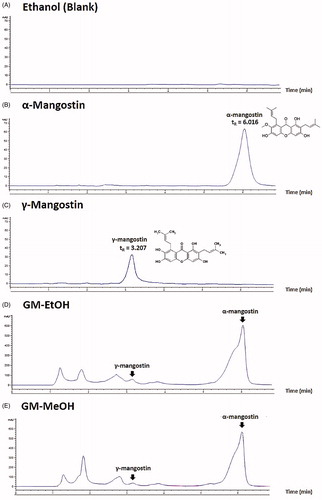 Figure 1. HPLC chromatogram. (A) Ethanol solvent (blank), (B) α-mangostin standard solution (10 μg/mL) with retention time (tR) 6.016 min, (C) γ-mangostin standard solution (10 μg/mL) with retention time (tR) 3.207 min, (D) GM-EtOH, the ethanolic G. mangostana extract with the peak of α- and γ-mangostin and (E) GM-MeOH, the methanolic G. mangostana extract with the peak of α- and γ-mangostin.