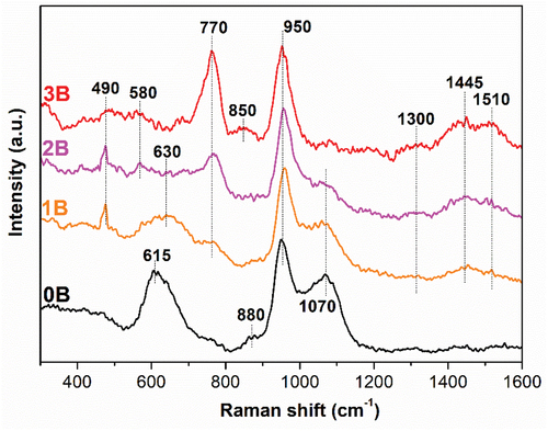 Figure 2. Raman spectra of 0B, 1B, 2B and 3B bioglasses.