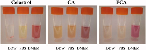 Figure 14. Solubility of celastrol, celastrol AuNP (CA) and folate receptor targeted celastrol AuNP (FCA) in double distilled water (DDW), phosphate-buffered saline (PBS; 50 mM, pH 7.4) and Dulbecco’s Modified Eagle Medium (DMEM).