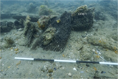 Figure 6. Hanging knee on aft side of gundeck beam 1 (GDB 1). Scale is 1 m with 20 cm increments (photo by Daniel Pascoe).