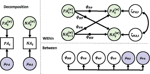 Figure 2. Representation of the multilevel VAR(1) model. Left part contains the decomposition into within-person (time-varying) and between-person (time-invariant) components. Top right contains the within-person level model, which is a VAR(1) model. Bottom right contains the between-person level model, which includes the between-person components from the decomposition, as well as all the random effects of the model, corresponding to the solid black circles in the within-person level model.