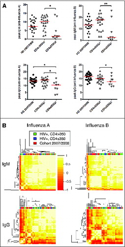 Figure 3. Immunoglobulin profiles do not cluster by HIV status or level of immunosuppression. (A) Peak IgM and IgG responses against influenza A and B are shown as VE/mL. HD = healthy donor, CD4 high = HIV infected individuals with CD4 counts >350/μl, CD4 low = HIV infected individuals with CD4 counts ≤350/μl. *P < 0.05, **P < 0.01. (B) The hierarchical clustering of the IgM (influenza A or B) and IgG (influenza A or B) vaccine response profiles indicated no difference between these 3 groups. The heatmap depicts the pairwise Pearson correlation coefficients of all profiles determined.