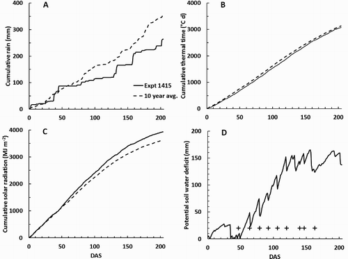 Figure 2. Weather observations at the site of Expt 1415 plotted against days after sowing carrots (DAS): A, cumulative rain; B, cumulative thermal time above a base of 0°C; C, cumulative solar radiation; and D, potential soil water deficit (Dø). In A–C, the solid lines indicate the observations for the 2014–2015 season and the pecked lines show the average for the previous 10 years. In D, the crosses indicate the days on which N fertiliser was applied.