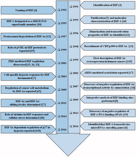 Figure 1. The timeline of HIF-1 research. The year-wise sequence of path breaking events in HIF-1 research are indicated with references. Events include the initial identification of HIF-1 up to the work being carried out in this field recently. The list is non-exhaustive and only a few major events are highlighted in the flowchart.