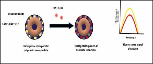 Figure 2. Fluorophoric detection of pesticides.