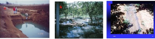 Figure 5. Irrigation of fruit trees using non treated sewage water, mixed with collected shallow water table (drainage water) in Central Bekaa (a and b). Sediments on soil surface after irrigation using non treated sewage water in Central Bekaa (c).