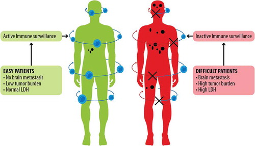 Figure 1. ‘Easy’ and ‘difficult’ patients. The ‘easy’ patients present some characteristics (e.g., no brain metastasis, low tumor burden, normal LDH) that result in active immune surveillance against cancer cells. Such immune surveillance may be pre-existing and responsible for reaching complete response. On the other hand, immune surveillance is impaired in difficult patients, who commonly present brain metastasis, high tumor burden, and high LDH.