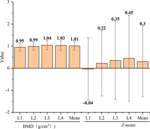 Figure 2 The BMD value and Z-score of patients.