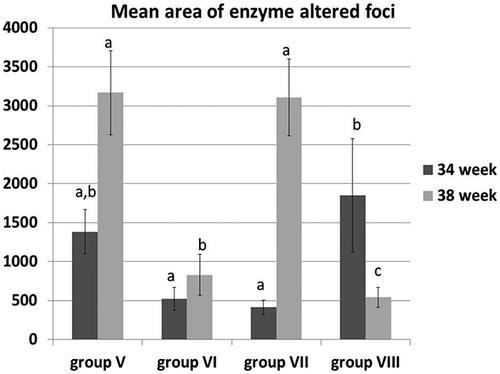 Figure 5. The mean area of enzyme-altered foci in the liver of different groups at 34th and 38th week. All data presented as mean value (n = 10) ± Standard error. Values bearing different superscripts (a, b, c) are significant at p < 0.05.