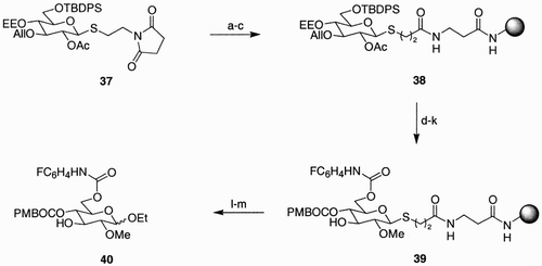 Scheme 7: Reagents and conditions: a) LiOH, THF, H2O, quant.; b) TOTU, HOBt, DIPEA, DMF, aminomethylpolystyrene; c) Ac2O, pyridine, dioxane, 98%; d) NH2‐NH2 H2O, DMF, e) KOtBu, DMF; f) MeBr, DMF; g) TBAF, THF; h) FC6H4NCO, DMAP, dioxane; i) PPTS, MeOH, dioxane; j) Steglich esterification at position 4; k) p‐TsOH, [Pd(PPh3)]4, DME, dioxane; l) NBS, EtOH, DTBP, CH2Cl2; m) Et4NBr, cyclohexene, CH2Cl2, 79% yield.