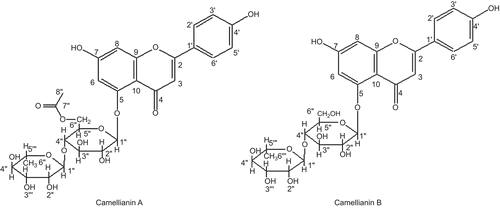 Figure 1.  Chemical structures of camellianin A and B.