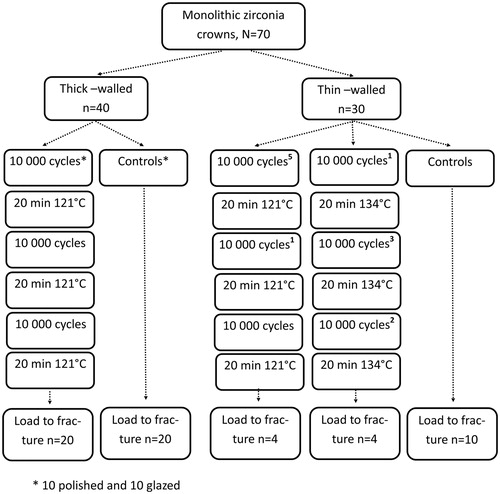 Figure 2. Test procedure. Flow chart of the test procedure for the specimens in the test groups of monolithic dental zirconia crowns. Twelve crowns did not survive the pretreatment. Superscript numbers indicate where in the procedure they fractured.