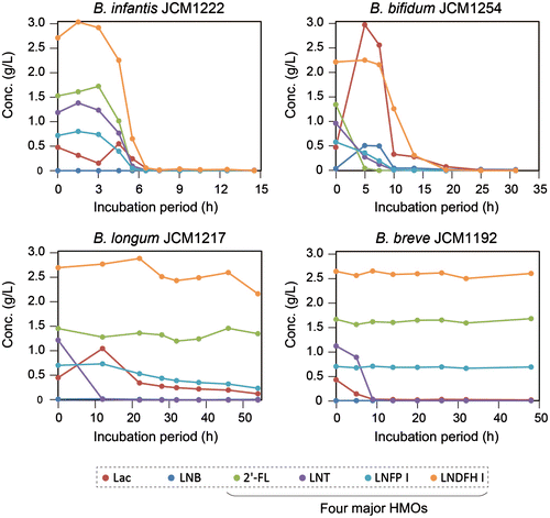 Fig. 4. Metabolic fates of the four main HMO components (green: 2′-FL; purple: LNT; cyan: LNFP I; and orange: LNDFH I) during cultivation with infant-gut-associated bifidobacteria.