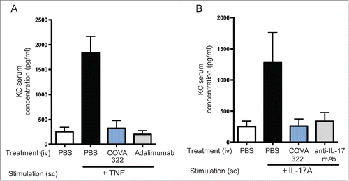 Figure 3. Inhibition of human IL-17A and TNF in vivo. Mice were injected intravenously (iv) with COVA322, anti-IL-17A antibody secukinumab or anti-TNF antibody adalimumab followed by subcutaneous injection of human TNF (A) or human IL-17A (B). Two hours after the administration of the indicated cytokine, blood samples were taken from the mice and KC levels were determined by ELISA. As a control, basal KC levels are shown (mice treated with PBS only (iv), without cytokine stimulation). Mean KC levels of 5 mice per group are shown (± SEM).