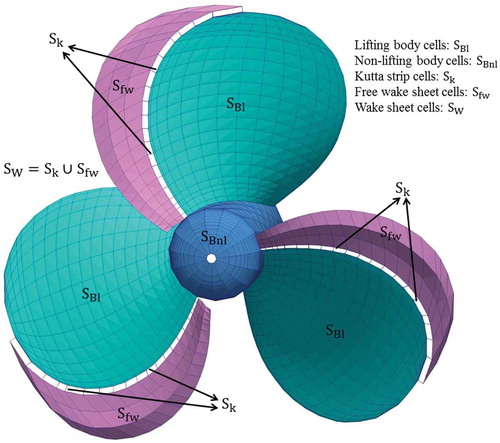 Figure 1. Cell types in the propeller.