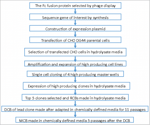 Figure 9. Cell line creation and Master Cell Bank (MCB) Genealogy: RCB: Research Cell Bank; DCB: Development Cell Bank; all seed cultures were split every three days per passage.