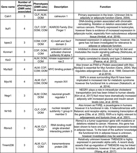 Figure 5. Common overlap adipocyte DMR associated genes and function. DMR with ≥3 overlaps with other DMR sets/phenotypes presented. The gene name and number of phenotypic associations (DMR sets overlap comparisons) are listed. The description of gene function category and general function presented.
