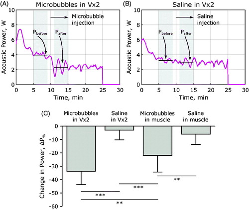 Figure 5. Change in applied power following the injection of microbubbles or saline. (A) Applied power summary in a rabbit Vx2 tumor with microbubble administration of 10 min into heating, shaded regions indicate the time window when the applied power was averaged for comparison. (B) Applied power summary in a rabbit Vx2 tumor with saline administration at 10 min into heating. (C) Comparison of the change in applied power across all treatment groups in this study. Data were compared with one-way ANOVA and Bonferroni post-hoc tests for multiple comparisons, **p < .01, ***p < .001.