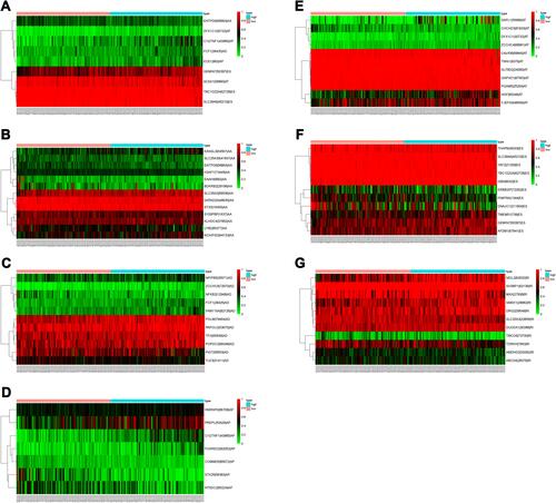 Figure 5 Heatmap of the 7 types of AS-event genes expression profiles. (A) ALL (B) AA (C) AD (D) AP (E) AT (F) ES (G) RI.