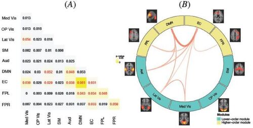 Fig. 3 MMM estimated difference in structural connection (SC) probabilities between the older (16–21) and younger (8–15) age group. (A): the numeric values are the estimated age difference (older vs. younger) in the SC probabilities. We highlight in yellow the age differences that are significant at the alpha = 0.05 level, where the color of the numeric values indicates the direction of the difference (red = significant positive difference; blue = significant negative difference). (B): A graphical illustration of the significant differences in SC across brain networks presented in (A). Turquoise modules represent higher-order cognitive networks and yellow modules represent lower-order modules such as primary sensory and motor networks. The red lines show significantly increased SC with age, with the wider lines representing more significant age difference with smaller p-values.