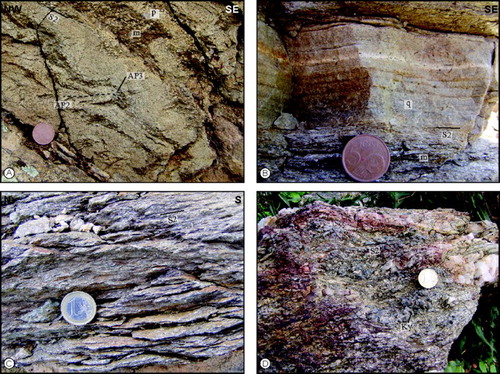 Figure 3. Metasediments affected by greenschist- to amphibolites facies metamorphism from the MGMC cropping out in the western portion of the southern metamorphic complex. (a) cm-thick layers of micaschists (m) and quartz-rich psammites (p) deformed by F2 and F3 folds. AP2: F2 folds axial plane; AP3: F3 fold axial plane; (b) quartzites (q) (m: micaschist); (c) fine-grained micaschist; (d) Kyanite + staurolite + garnet-bearing micaschist cropping out west of phyllonites (Ky: kyanite). S2: S2 foliation.