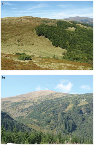 FIGURE 7. Photos from September 2009 showing contrasting timberlines in the Ukrainian Carpathians: (a) abrupt beech (Fagus sylvatica) timberline; (b) diffuse spruce (Picea abies) and mountain pine (Pinus mugo) timberline.