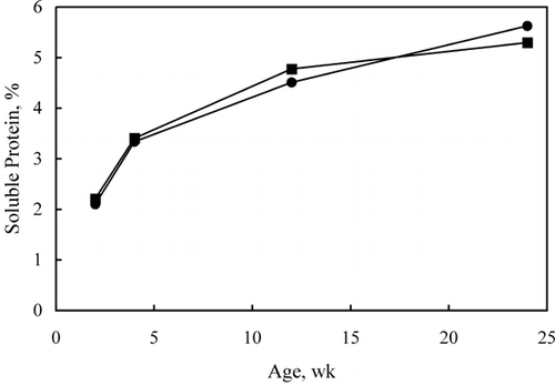 Figure 2. Percentage of soluble protein during aging for different moisture (•: 58.1%, ▪: 62.4% MNFP) Cheddar cheese.