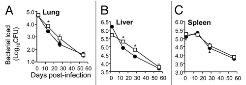 Figure 2 Persistence in mouse organs of BCG overexpressing HspX. Mice were however, number of both BCG and BCG:HspX were infected i.v with 1 × 106 CFU of BCG control (open squares) or BCG:HspX (closed circles). At 1, 14 and 28 and 56 days post-infection the bacterial load was assessed in the lung (A), liver (B) and spleen (C). The error bars represent standard errors of the means and data are representative of two separate experiments. The statistical significance between groups (*p < 0.05) was determined by ANOVA.