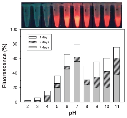 Figure 12 Stability of QD655 fluorescence at different pH under storage for several days. Fluorescence intensity measured immediately after sample preparation corresponds to 100%.