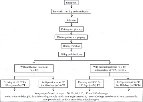 Figure 1. Flowchart of the sequence of operational steps for processing and analyzing of pulp from sapota-do-Solimões (Quararibea cordata).Figura 1. Diagrama de flujo de la secuencia de pasos operativos para procesar y analizar la pulpa de sapota-do-Solimões (Quararibea cordata).