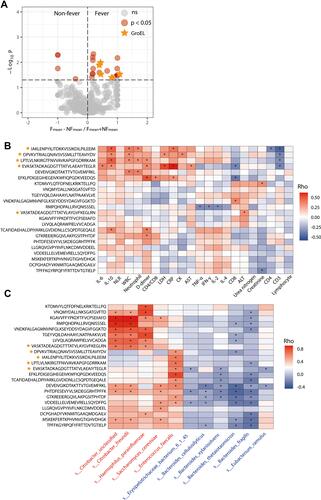 Figure 4 Gut microbial epitopes (MEs) in patients with moderate COVID-19. (A) different epitopes from gut microbiota in moderate COVID-19 patients with and without fever are shown. (B) MEs enriched in fever group are correlated with clinical indices. (C) MEs enriched in fever group are correlated with different gut microbiota species. Spearman’s rank correlation coefficient is indicated using a color gradient: red indicates positive correlation; purple indicates negative correlation,*p<0.05. Species that are enriched in patients with and without fever are marked in red and blue, respectively.