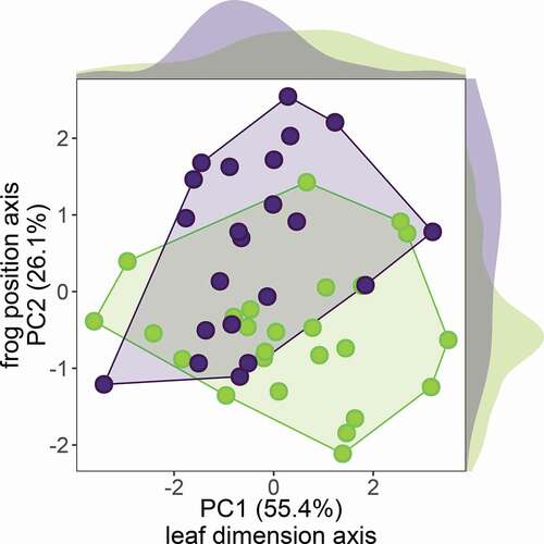 Figure 3. Principal component analysis of leaf dimensions and frog calling positions of H. fleischmanni (in green) and S. flotator (in purple). Distribution density plots for each variable are show on the outer margins