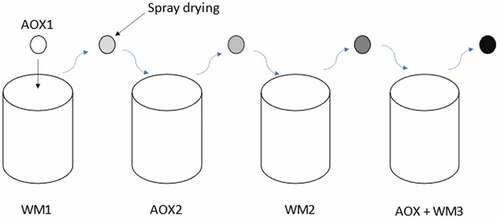 Figure 4. Multilayering coating ratios- antioxidants (AOX) and wall material (WM).