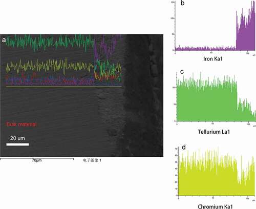 Figure 5. Element line analysis of specimen under lower oxygen potential.