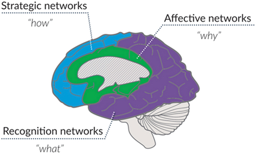 Figure 1. UDL and the learning brain. Wakefield, MA: Author. Retrieved from http://www.cast.org/products-services/resources/2018/udl-learning-brain-neuroscience (CAST, Citation2018b).