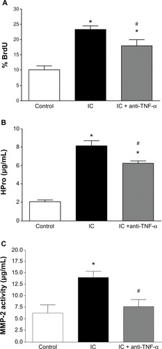 Figure 2 Cardiac fibroblast proliferation (A), cardiac fibroblast hydroxyproline (HPro) release (B), and matrix metalloproteinase-2 (MMP-2) activity (C) in medium in response to coculture of cardiac fibroblasts with untreated inflammatory cells (IC) and cardiac inflammatory cells in conjunction with a neutralizing antibody against TNF-α (IC + anti-TNF-α). *P < 0.05 versus control; #P < 0.05 versus IC.Abbreviations: BrdU, 5-bromo-2′-deoxyuridine; TNF-α, tumor necrosis factor-alpha.