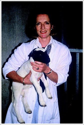 Figure 1. Professor Helen Laburn working with newborn lambs, Johannesburg, around 1990. Photo courtesy of Duncan Mitchell.