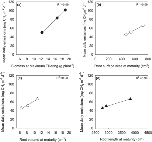 Figure 3. For the commercial genotypes only (excluding the breeding line), the linear relationships between mean daily methane emissions (measured during the respective periods) and (a) biomass at maximum tillering, (b) root surface area at maturity, (c) root volume at maturity, and (d) root length at maturity.