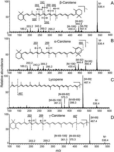 Figure 6. MS/MS spectra of carotenes in negative APCI: (A) β-carotene; (B) α-carotene; (C) lycopene; and (D) γ-carotene. Reprint from Van Breemen et al. [Citation137], with permission of Elsevier.