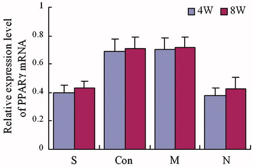 Figure 4. Expression of PPARγ mRNA. The group S was treated with both steroid and adenovirus shuttle vectors, carrying siRNA targeting the PPARγ gene; Group Con was treated with both steroid and a vector carrying irrelative sequence; Group M was treated with steroid only, group N received no treatment serving as control. Statistical difference among 4 groups was treated by analysis of variance, in week 4: F = 38.08, p = 0.00; in week 8: F = 29.46, p = 0.00. In week 4 and week 8, group S: compare to group Con and M, p < 0.05, compare to group N, p > 0.05; group Con: compared to group M, p > 0.05, compared to group N, p < 0.05; group M: compared to group N p < 0.05.