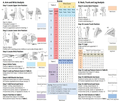 Figure 2. RULA employee assessment worksheet.