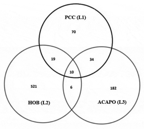 Figure 4. Venn diagram representing the matching lists from Primary Care Centre (PCC), ACAPO and Hospital of Braga (HoB).